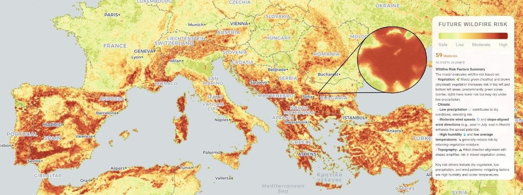 Future wildfire risk prediction: dense risk rasters with multimodal reasoning over vegetation, climate, and topography